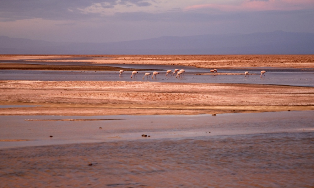 SQM reconoce nueva falla en Salar de Atacama por eventual sobreextracción de salmuera