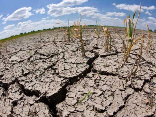 Las olas de calor y las sequías se duplicaron en menos de 100 años