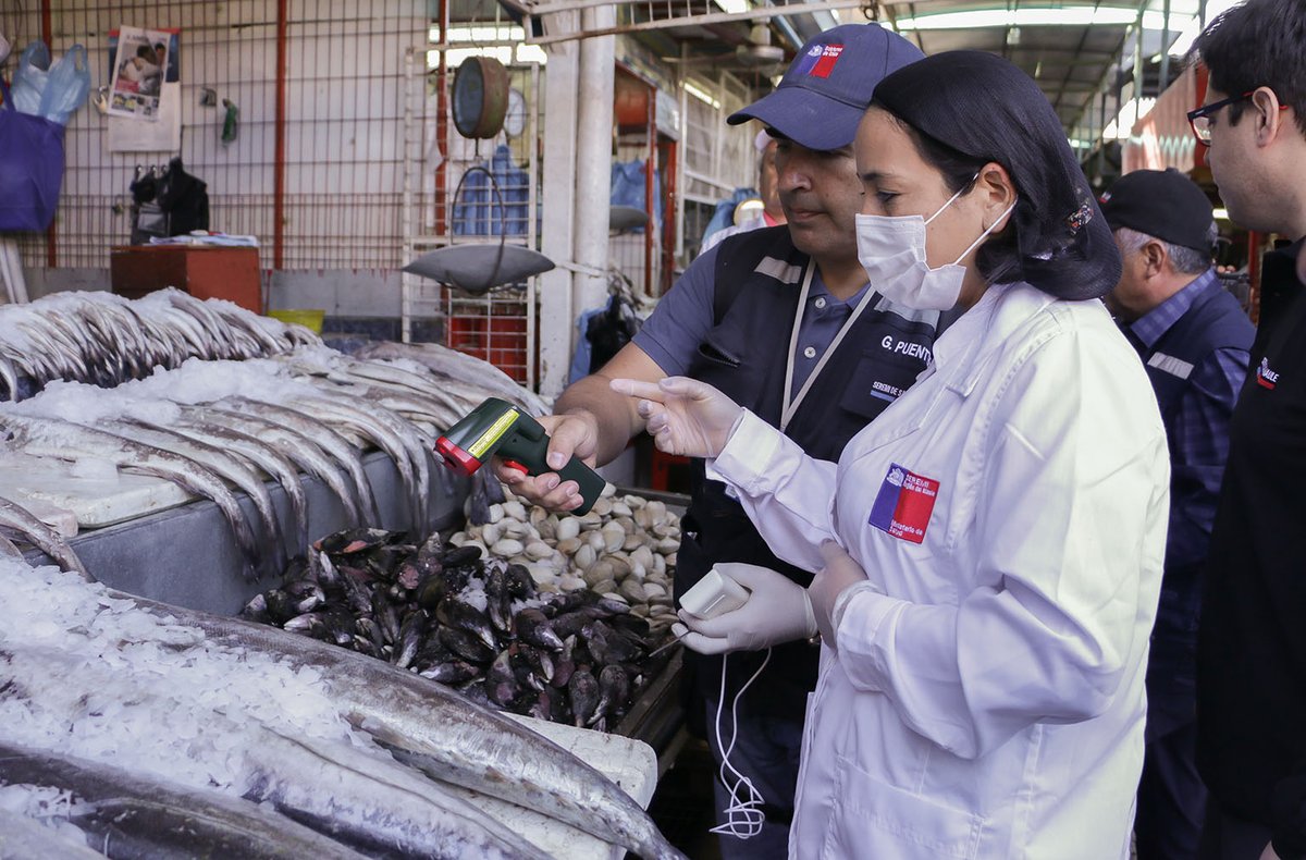 Proyecto que modernizará Sernapesca podría ser ley este año
