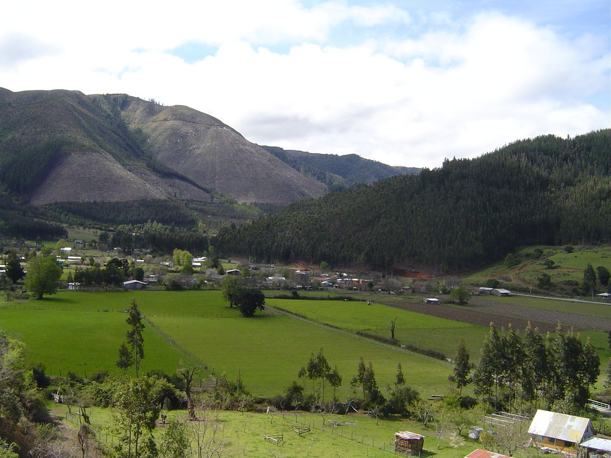 SMA investiga denuncias contra centrales hidroeléctricas en el Valle de Elicura