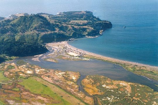 Seminario: Humedales como sistemas socio-ecológicos en un mundo cambiante