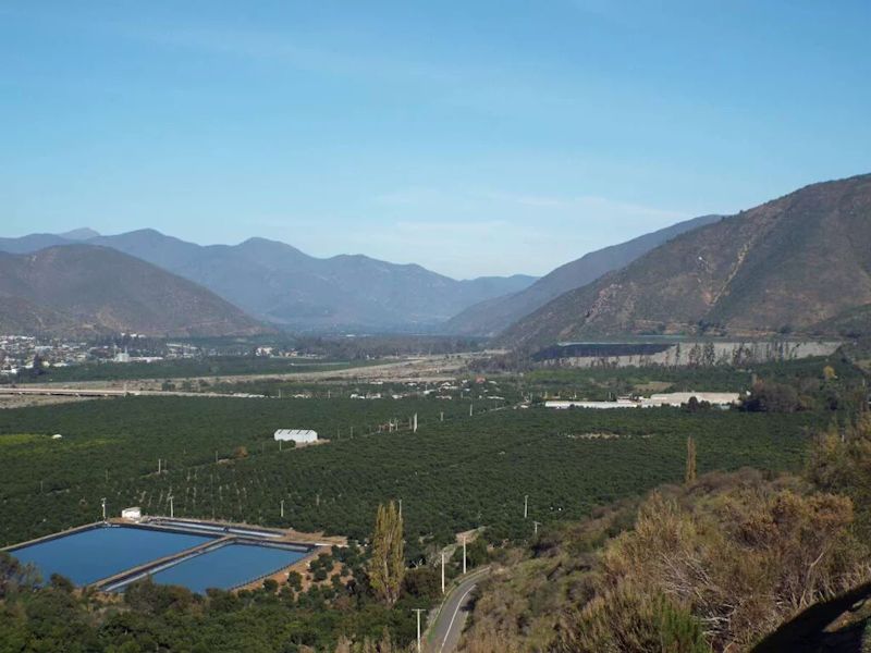 Estudio analiza la erosión de suelos y la crisis hídrica como impactos del cultivo de paltos en Chile