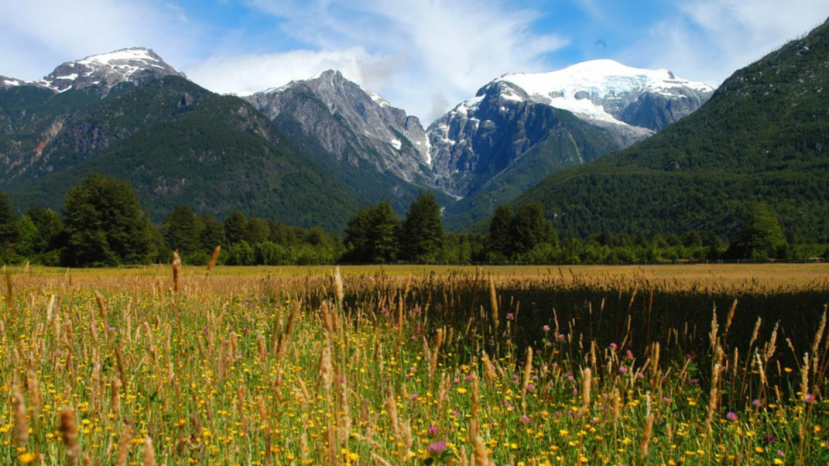 Representante de Red de Parques de la Patagonia llegó a Punta Arenas para trabajar con equipo regional de Conaf