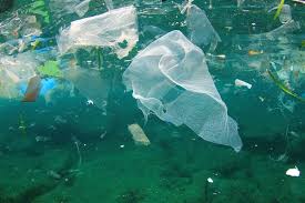 El Día del Medio Ambiente suma esfuerzos contra el plástico de un solo uso