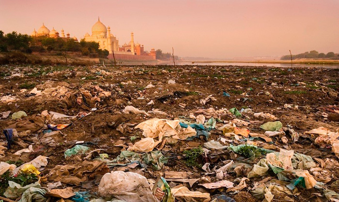 Todo lo que necesitas saber sobre el Día Mundial del Medio Ambiente 2018