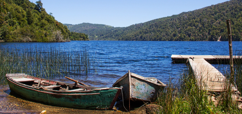 Comité de protección de Tinquilco busca crear un Santuario de la Naturaleza en la cuenca del lago