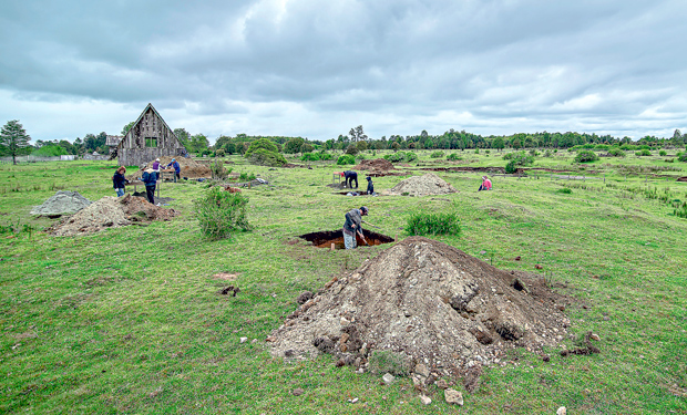 Caso Monte Verde: Tribunal Ambiental rechaza daño de empresa de redes