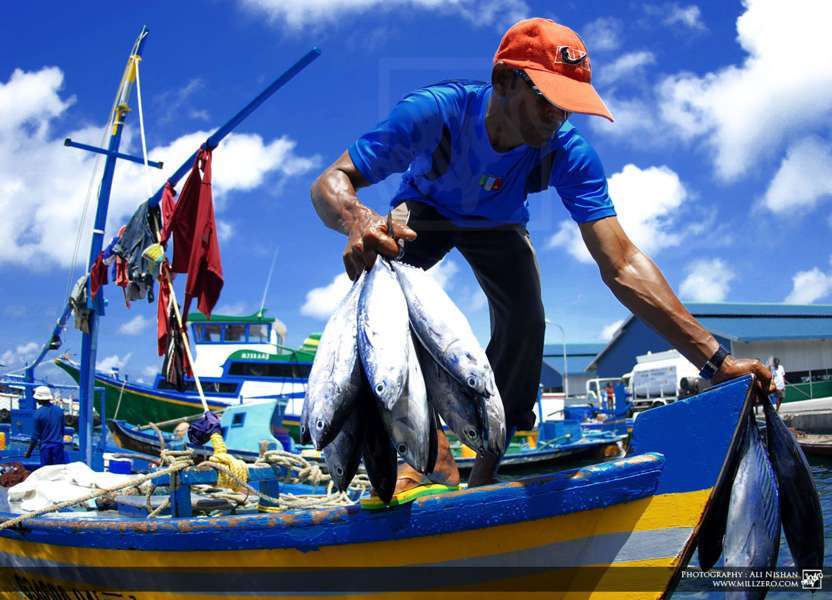 Hoy se vota nulidad de la Ley de Pesca