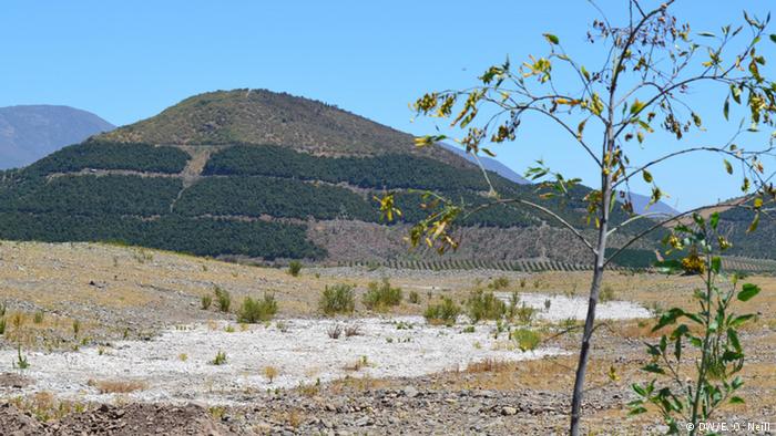 Alcalde de Petorca advierte posible migración de habitantes de zonas rurales por crisis hídrica