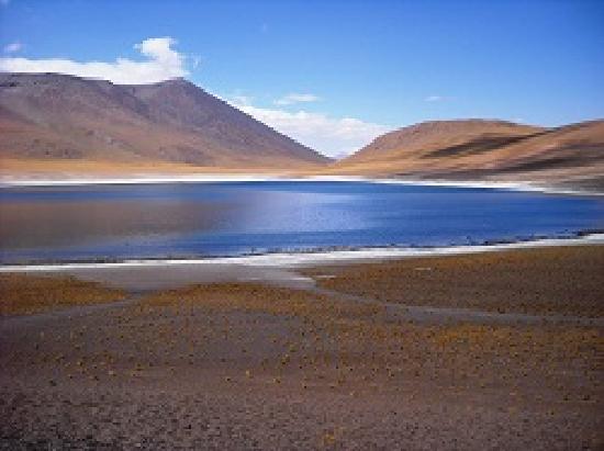 Extremófilos: el tesoro que esconden las lagunas en San Pedro Atacama