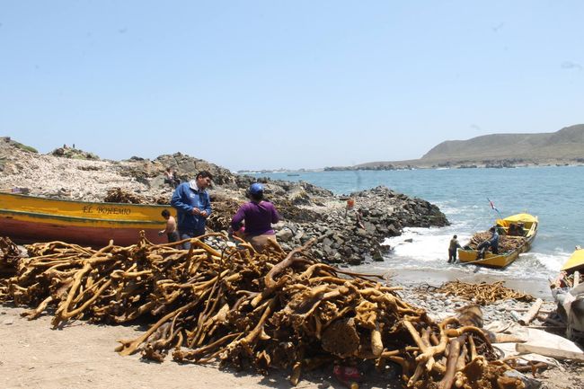 Pescadores de Caleta Sierra expusieron problemas que les afectan en términos de concesiones
