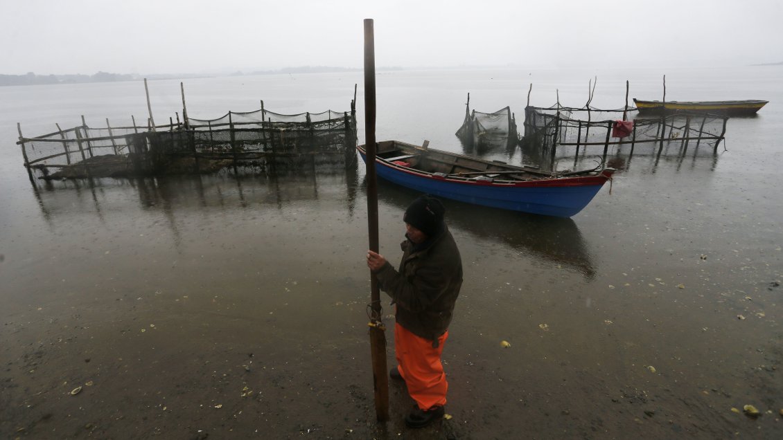 Siete comunas del Biobío en pie de guerra contra 15 proyectos salmoneros