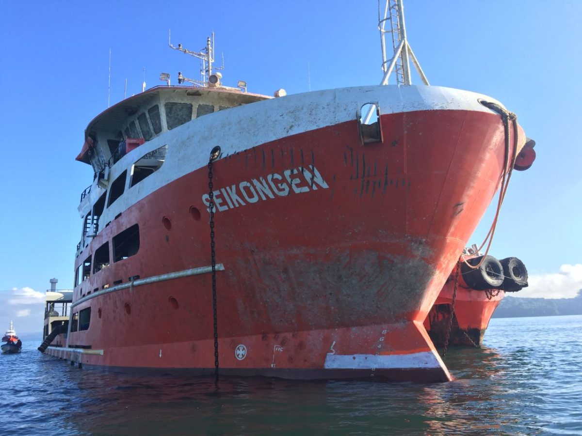 Restos de salmones del buque “Seikongen” serán trasladados a vertederos de la Región de Los Lagos