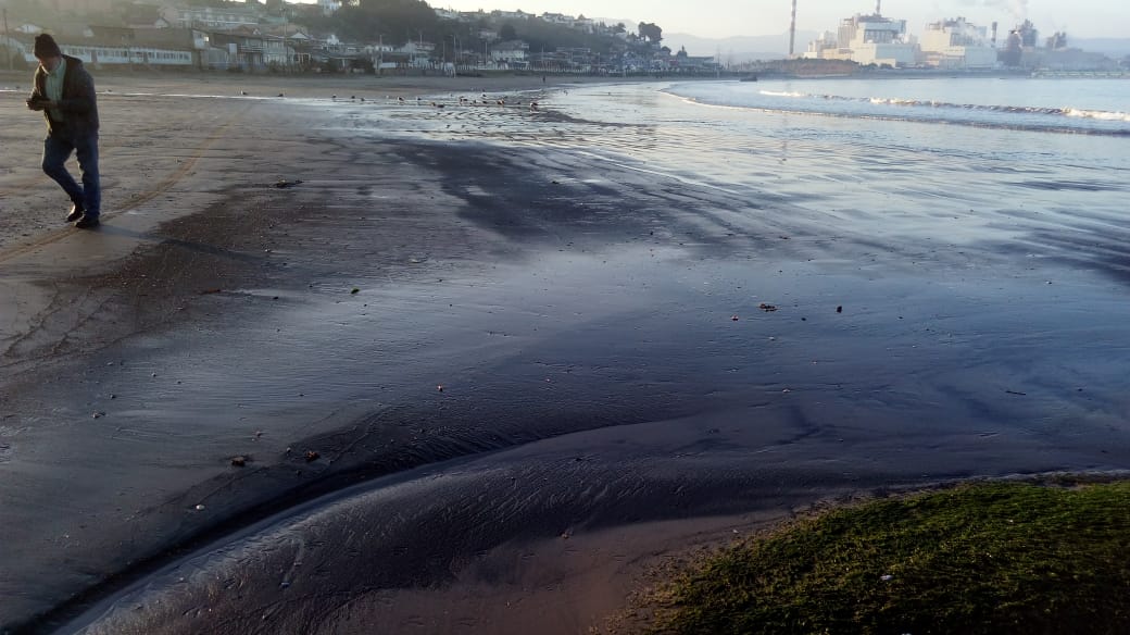 Contaminación: Varamiento de carbón tiñó la playa de Ventanas nuevamente