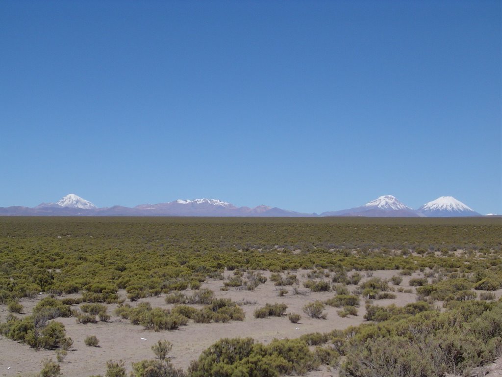 Aimaras de Visviri denuncian que napas y bofedales se están secando por uso intensivo de agua desde Perú