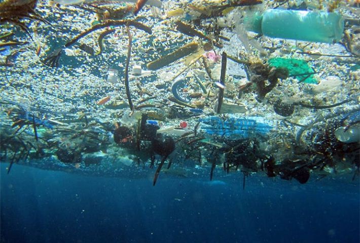 La contaminación de los mares con basura plástica ya afecta a las regiones más remotas