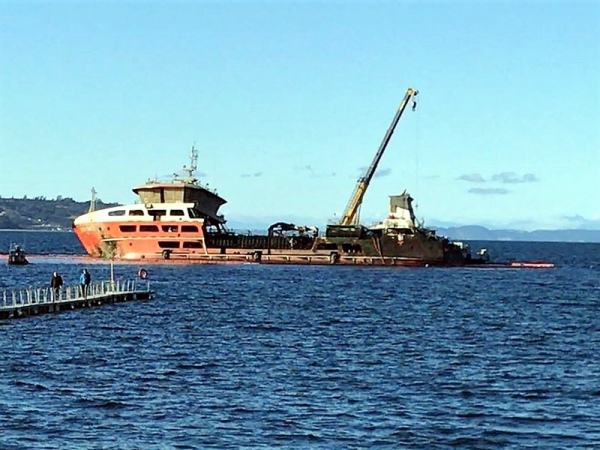 Corte de Apelaciones frena el arribo a Talcahuano de buque con salmones muertos
