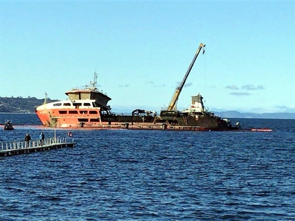 Seikongen: Empresa ofrece plan para trasladar carga de salmones muertos