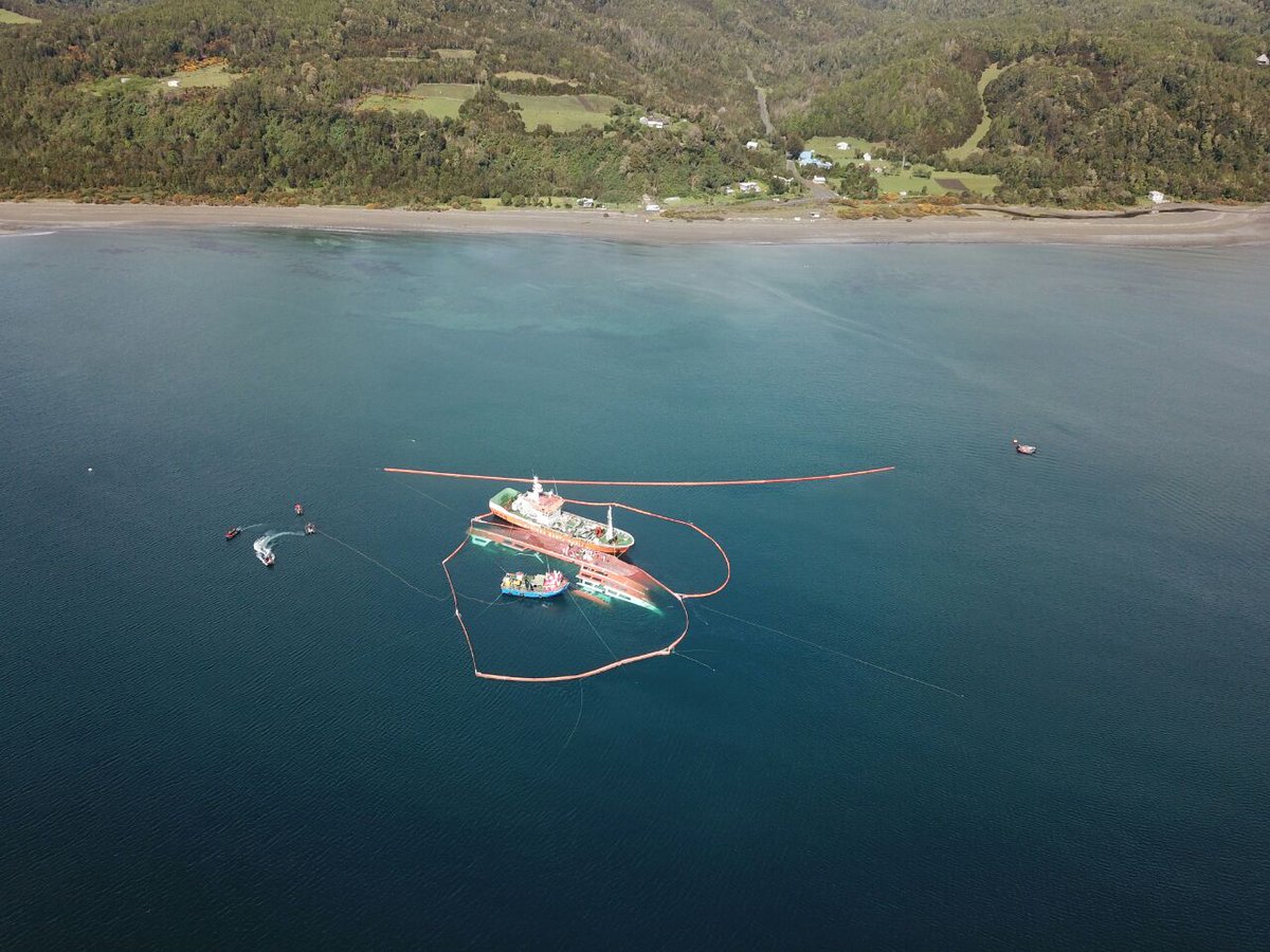 Buque con toneladas de pescados altamente peligrosos llegaría a Talcahuano tras revés judicial