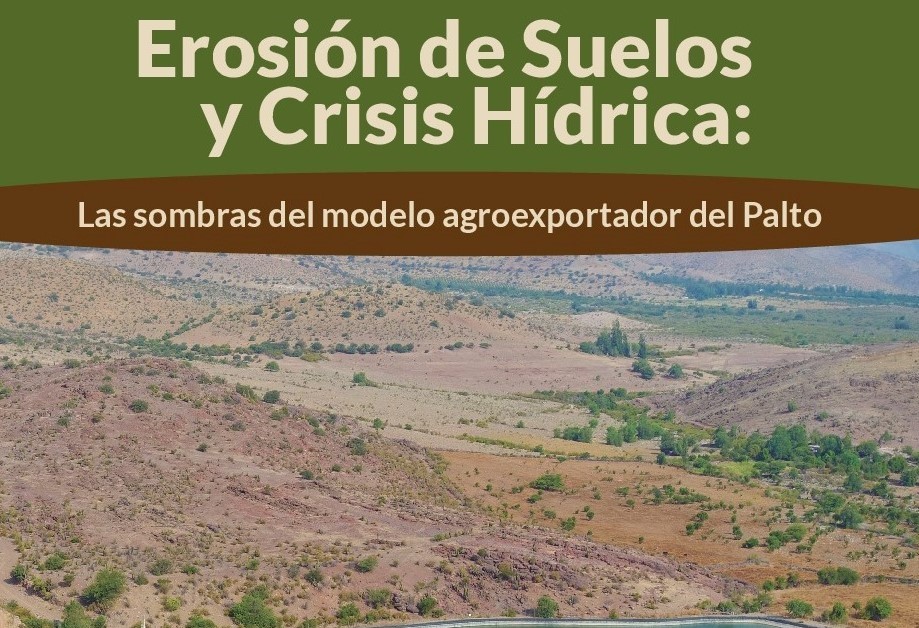 Erosión de suelos y crisis hídrica: las sombras del modelo agroexportador de palto