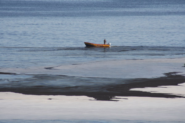 Mejillones: la encrucijada entre el progreso y el medio ambiente