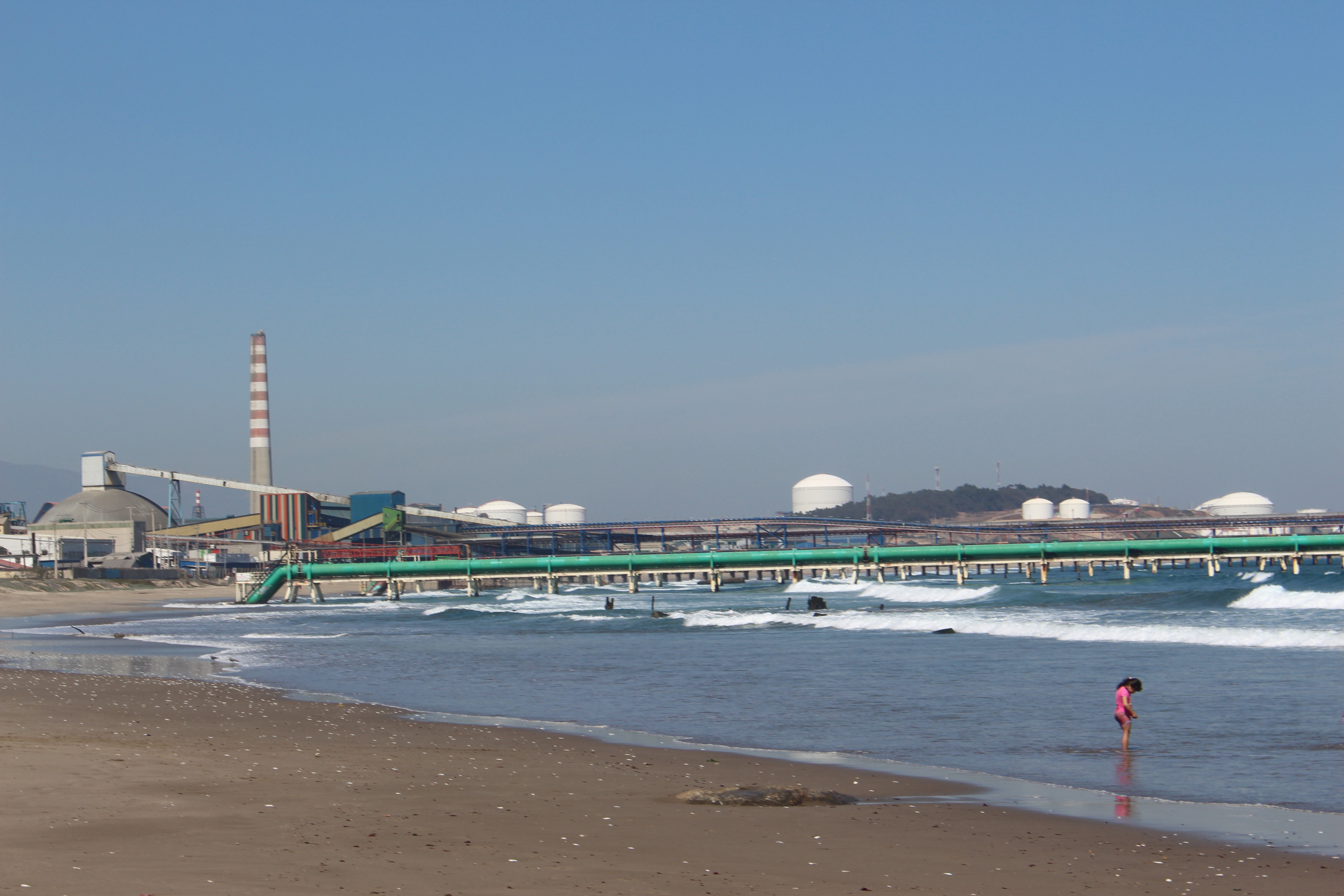 Organizaciones ambientales presentan Recurso de Protección por contaminación en Bahía de Quintero