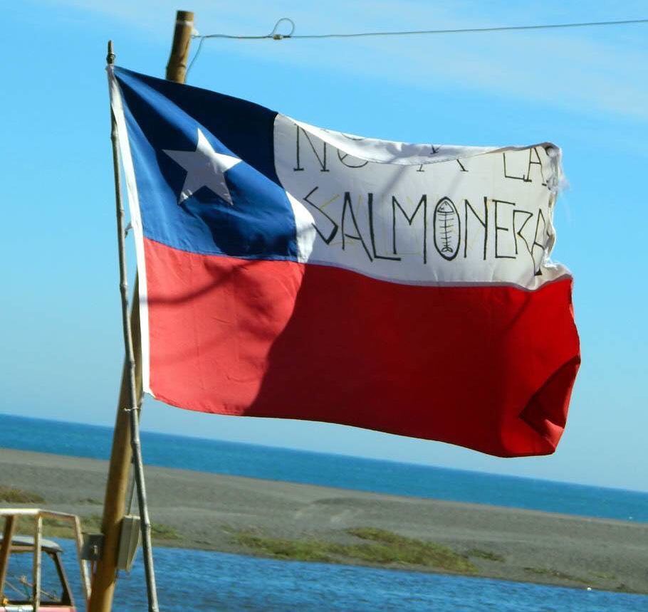 Cae la quinta de las once salmoneras que buscan emplazarse en las costas de Ñuble