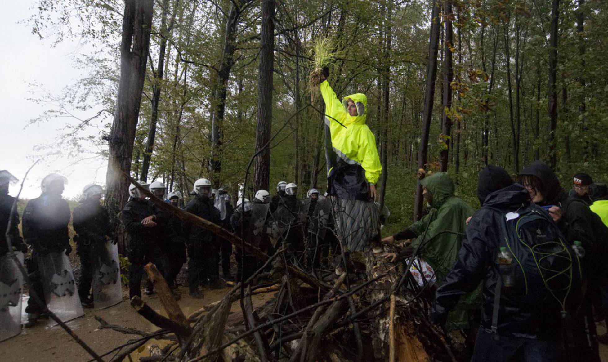 Alemania detiene la tala del bosque de Hambach