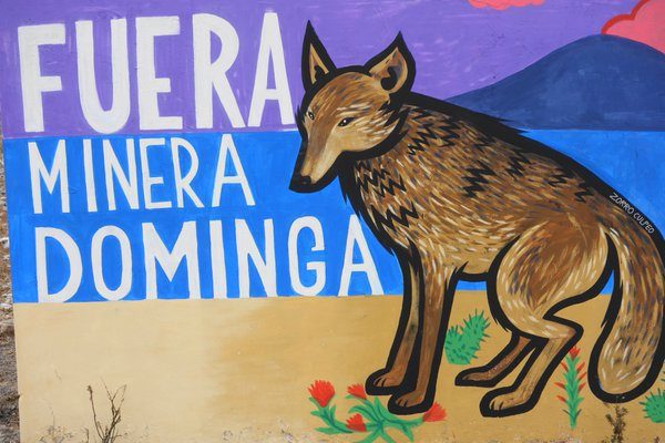 Esta semana se sabrá si recurso contra Dominga ante el TC fue declarado admisible