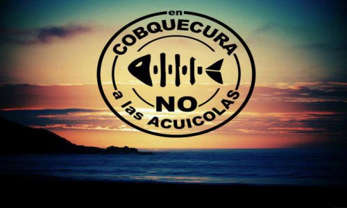 Cobquecura: La lucha del litoral del Ñuble por evitar la instalación de ocho proyectos salmoneros