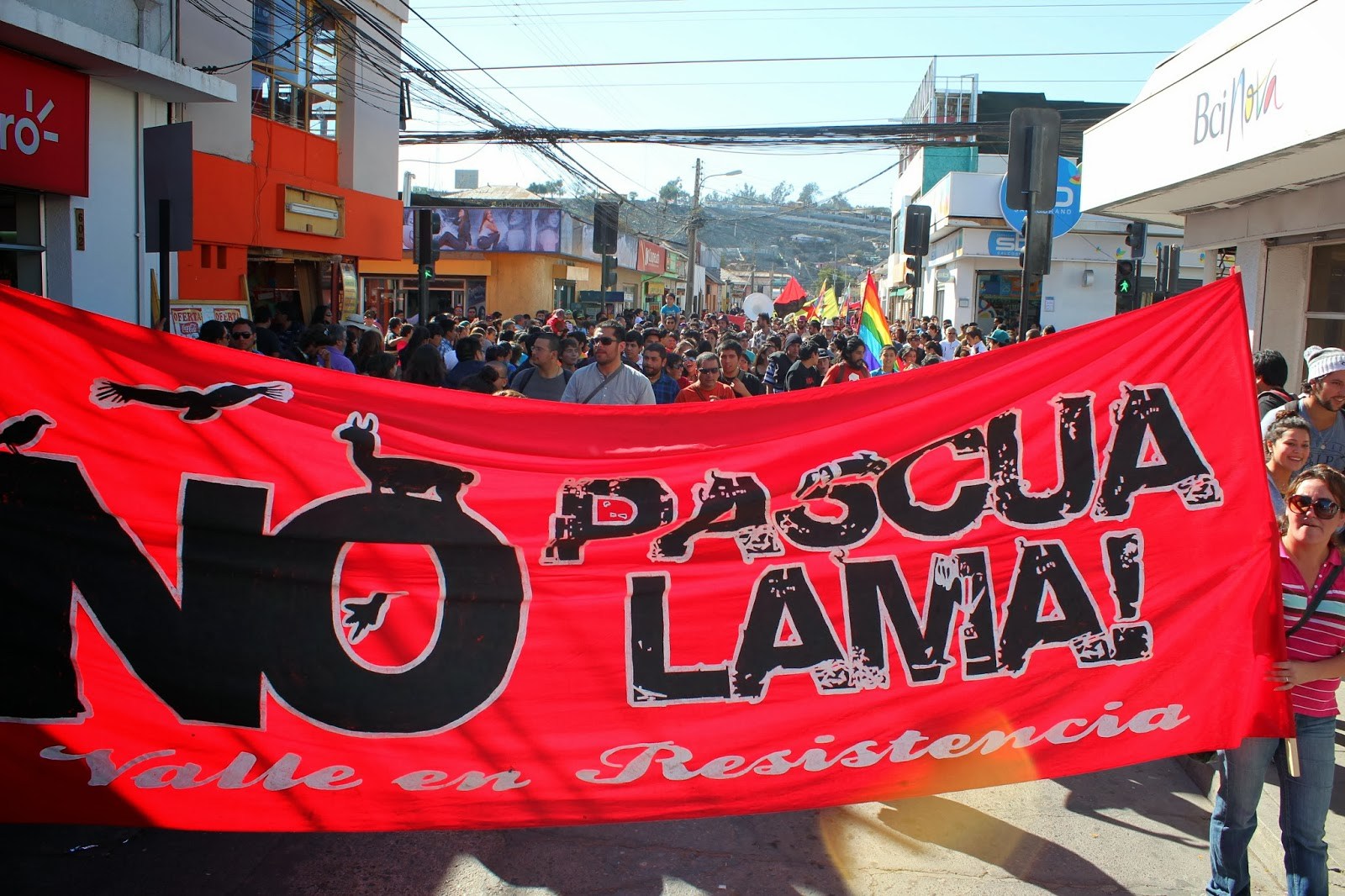 Asamblea por el Agua del Guasco Alto evalúa el cierre de Pascua Lama como un triunfo