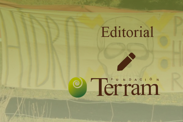 Desalojos en San Fabián de Alico: incongruencia política y vulneración de derechos del campesinado