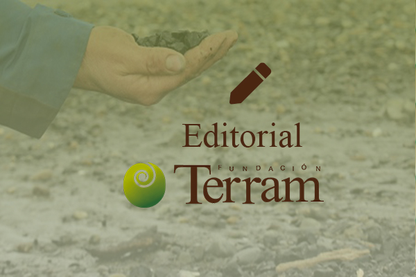 Editorial: ¿Podemos confiar en el carbón? ¿Podemos confiar en Mina Invierno?