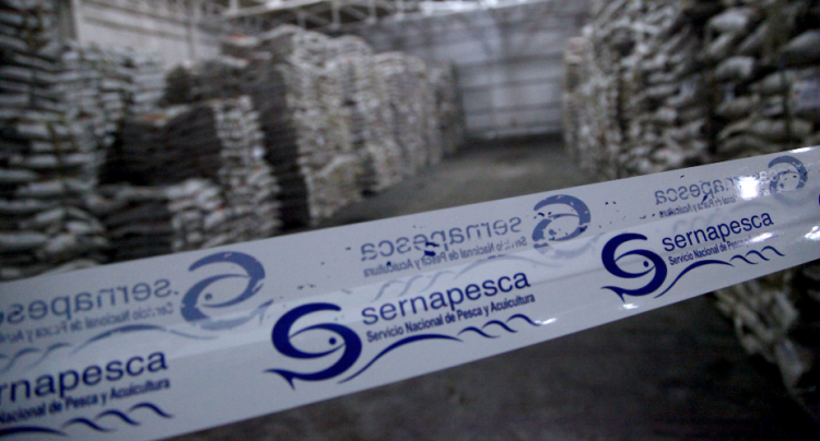 Sernapesca fortalece control de la comercialización ilegal de la merluza común