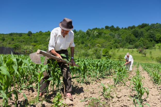 Gobierno ingresó proyecto que actualiza la legislación relativa al uso de fertilizantes