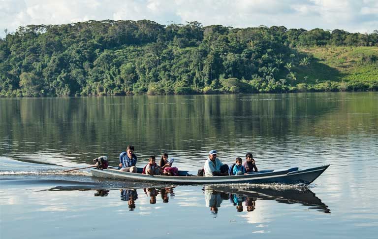 Brasil elimina 11 nuevas áreas protegidas en la Amazonía con una superficie de 600 mil hectáreas
