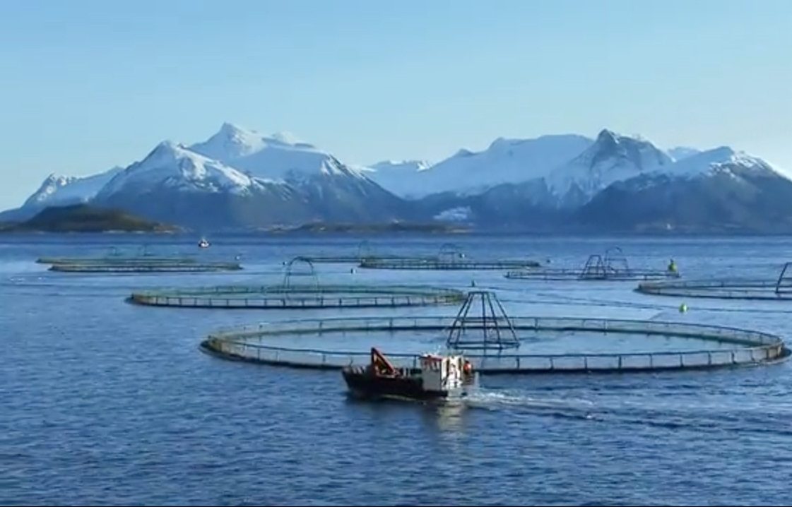 Noruega propone «impuesto a la renta acuícola»