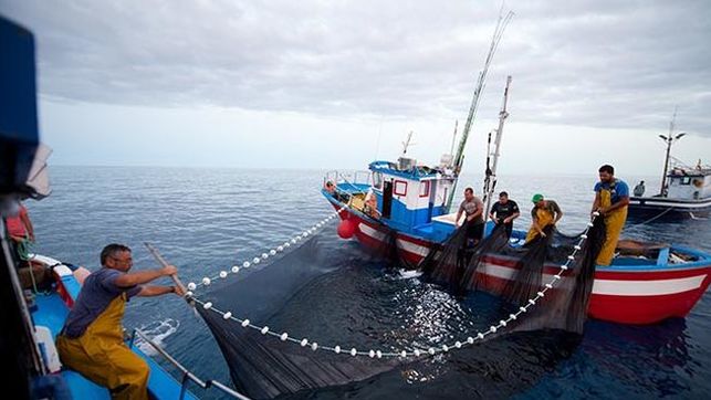 Cámara de Diputados aprobó informe de comisión mixta relativo al proyecto que perfecciona el Sernapesca