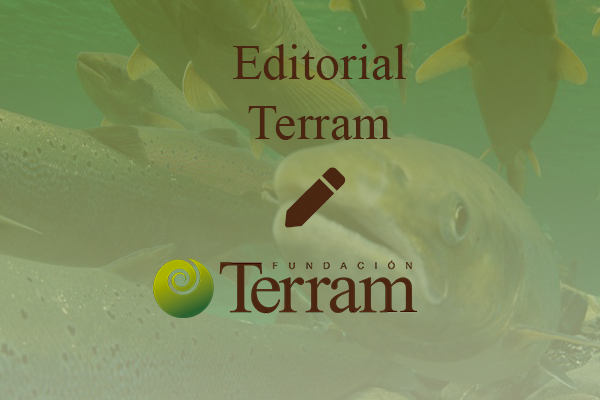 Editorial: Hasta cuándo la falta de precaución ante la industria salmonera