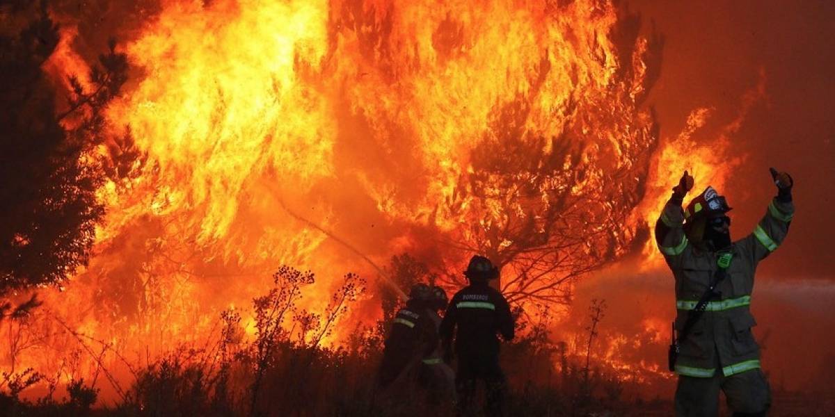 Incendios forestales afectan a la región de Valparaíso: nueve comunas se mantienen con Alerta Roja