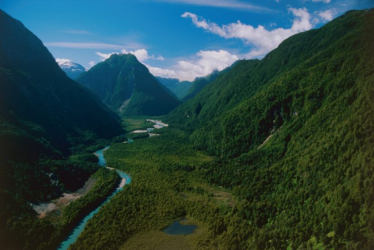 Gobierno habría cambiado límites a Parque Nacional Patagonia para ceder terrenos a minera australiana