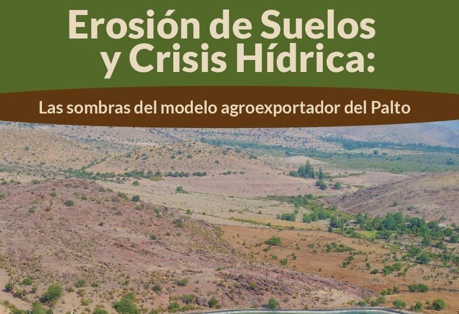 Fundación Terram expondrá documento sobre modelo agroexportador en el Senado