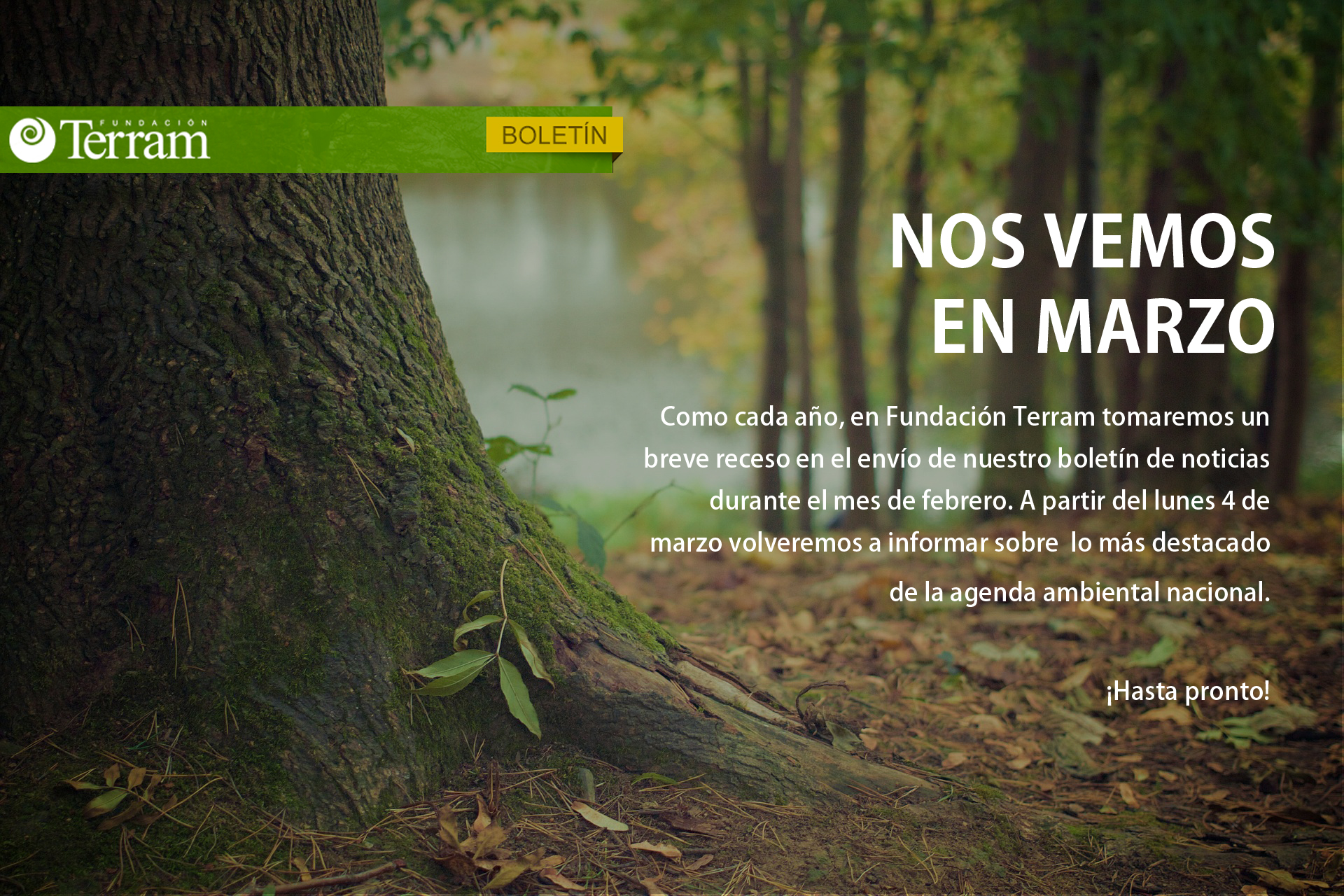 Boletín Terram regresa el 4 de marzo