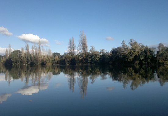 Tribunal Ambiental autoriza detención parcial para proyecto de Ventisqueros en Río Bueno por riesgo ambiental