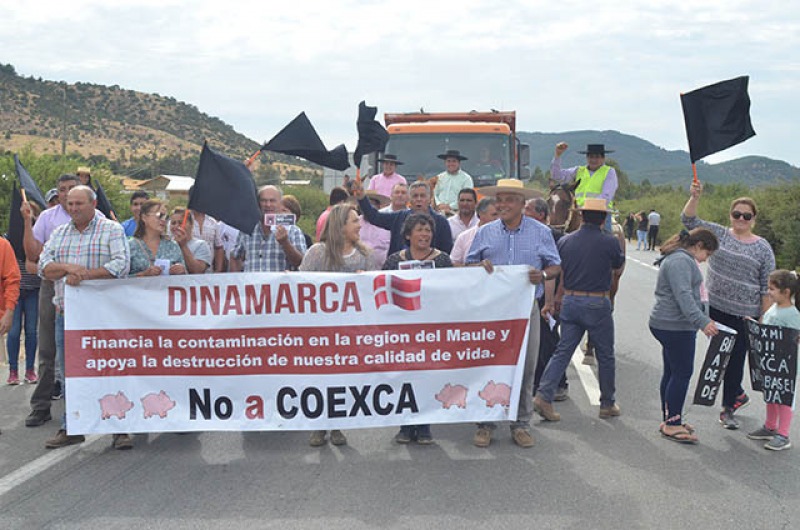 El duro golpe contra el megaproyecto de chanchera de Coexa en Linares