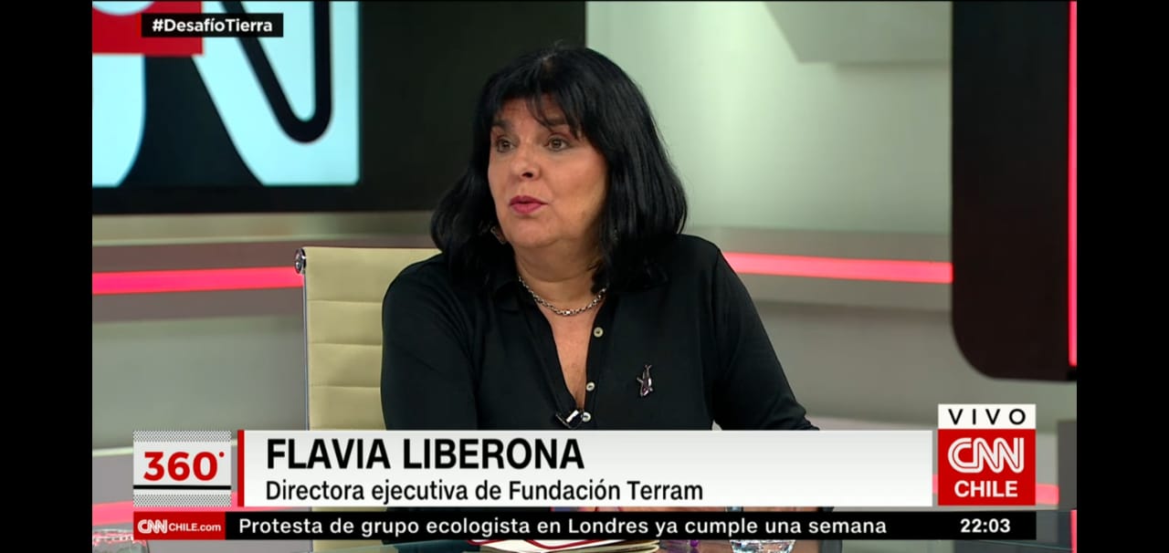 Día de la Tierra en CNN: Flavia Liberona comentó alcances del cambio climático