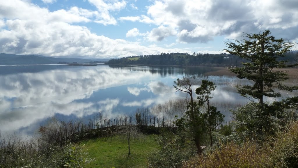 SMA intensifica fiscalización y pide monitoreo en línea de 21 parámetros a planta de Celulosa Arauco de Valdivia