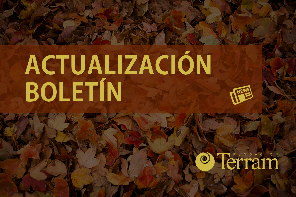 Actualización boletín Terram