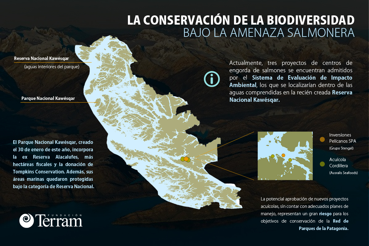 Infografía: “La conservación de la biodiversidad bajo la amenaza salmonera”