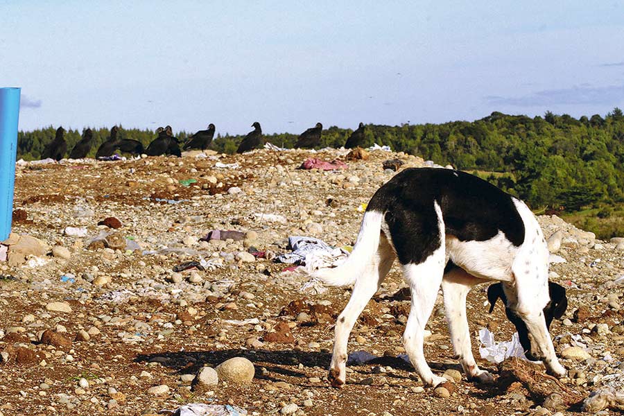 La preocupante situación de los vertederos en Chile: 43 ya cumplieron su vida útil